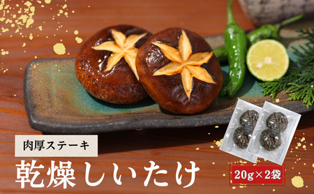 大分県産 しいたけ 津久見で育てた肉厚ステーキ用乾燥しいたけ 20g×2袋