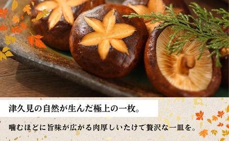 大分県産 しいたけ 津久見で育てた肉厚ステーキ用乾燥しいたけ 15g×3袋