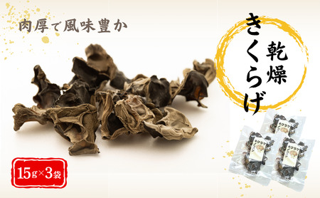 津久見産 肉厚 乾燥 きくらげ 15g×3袋 | 木耳 津久見市
