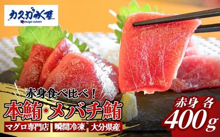 【本まぐろ・メバチ鮪】赤身 食べ比べ セット (各400g/計800g) | まぐろ 津久見市