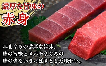 【本まぐろ・メバチ鮪】赤身 食べ比べ セット (各400g/計800g) | まぐろ 津久見市