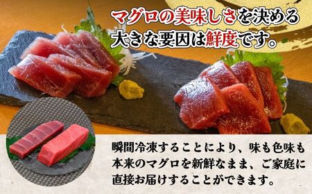 【本まぐろ・メバチ鮪】赤身 食べ比べ セット (各400g/計800g) | まぐろ 津久見市