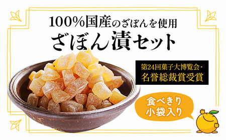 伝統銘菓 ざぼん漬セット 100g×12袋 菓子 お土産 茶菓子 和菓子 ドライ