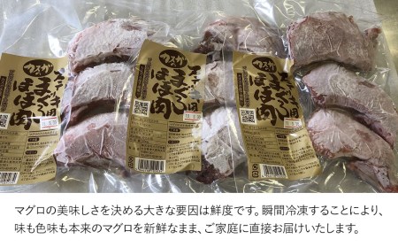 カスガのまぐろステーキほほ肉 3人前 | 津久見市