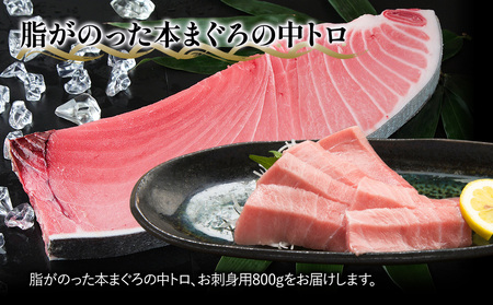 本まぐろ お刺身用 中トロ5人前(800g) 鮪 海鮮丼 刺し身 刺身 盛り合わせ 冷凍 魚の刺身 大分県産 九州産 津久見市 国産【tsu0003011】