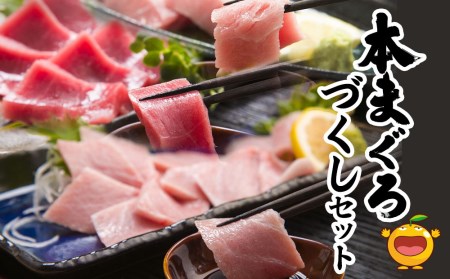 本まぐろづくし セット 大トロ500g 中トロ600g 赤身600g 鮪 海鮮丼 刺し身 刺身 盛り合わせ 冷凍 魚の刺身 大分県産 九州産 津久見市 国産【tsu0003016】