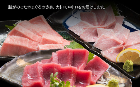 本まぐろづくし セット 大トロ500g 中トロ600g 赤身600g 鮪 海鮮丼 刺し身 刺身 盛り合わせ 冷凍 魚の刺身 大分県産 九州産 津久見市 国産【tsu0003016】