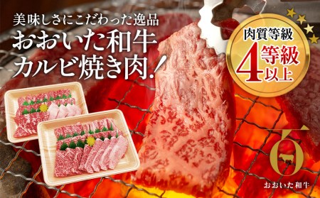 おおいた和牛 焼肉用 300g×2P(合計600g） バラ肉 牛肉  和牛 豊後牛 国産牛 赤身肉 焼き肉 焼肉 大分県産 九州産 津久見市 国産【tsu002306】