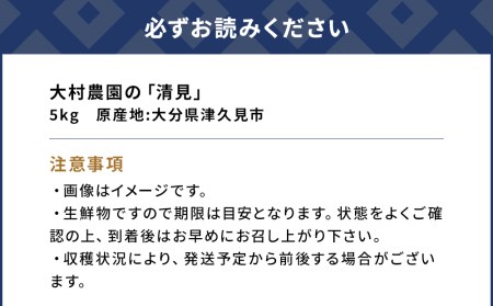【先行予約】大村農園のみかん 清見 5kg ミカン 蜜柑 オレンジ 果実 旬のフルーツ 大分県産 九州産 津久見市 国産【tsu003103】