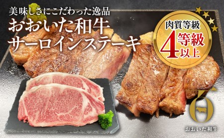 おおいた和牛 サーロインステーキ 約180g×2枚(合計360g) 和牛 豊後牛 国産牛 赤身肉 焼き肉 焼肉 ステーキ肉 大分県産 九州産 津久見市 国産【tsu002307】