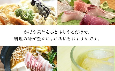 カボス果汁 1.8L×2本 | 津久見市