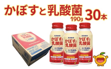 馬ブドウ3kg 馬ぶどう ウマブドウ 野ぶどう ブスノミ 肝臓 免疫力 胃弱