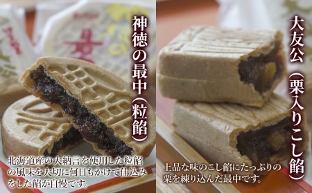 最中の詰合せ 10個入り 和菓子 茶菓子 もなか お中元 お歳暮 ギフト お供物 大分県産 九州産 津久見市 国産【tsu000502】