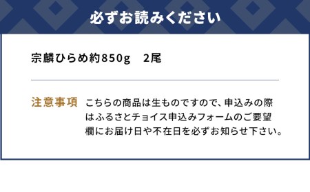 夫婦 仲良く 宗麟 ひらめ | 活 ひらめ 津久見市