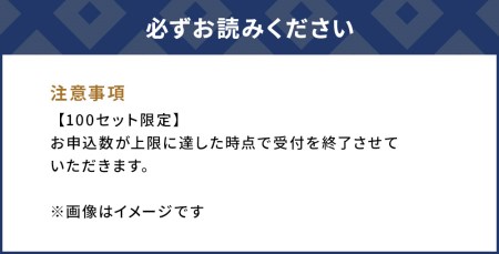 〈ふるさと納税限定品〉専用ボトルで除菌・消臭に 微酸性電解水 ジアサニター 除菌消臭スプレー ウイルス対策グッズ 大分県産 九州産 津久見市 国産【tsu002201】