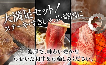 おおいた和牛大満足セット ステーキ2枚・すき焼き700g・焼肉600g 和牛 豊後牛 国産牛 赤身肉 焼き肉 すき焼き しゃぶしゃぶ 大分県産 九州産 津久見市 国産【tsu0023010】