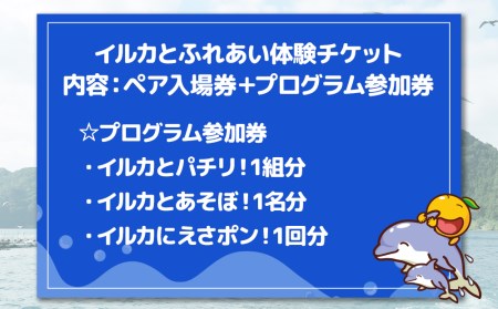 イルカと遊ぼうFor Kids（イルカとふれあい体験チケット）体験チケット レジャーチケット アクティビティ 動物ふれあい 大分県産 九州産 津久見市 国産【tsu001202】