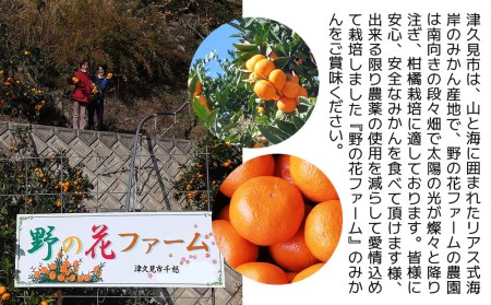 【先行予約・数量限定】野の花ファーム 秀品 石地みかん 5kg  ミカン オレンジ 蜜柑 フルーツ 旬 果物 くだもの 大分県産 九州産 津久見市 国産【tsu002801】