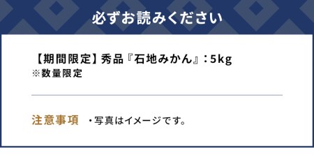 【先行予約・数量限定】野の花ファーム 秀品 石地みかん 5kg  ミカン オレンジ 蜜柑 フルーツ 旬 果物 くだもの 大分県産 九州産 津久見市 国産【tsu002801】