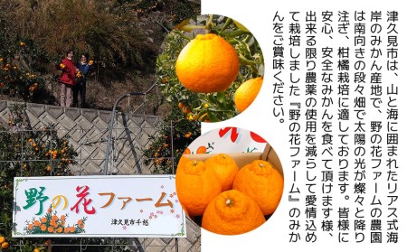 【先行予約・数量限定】野の花ファーム 不知火 6kg | 津久見市