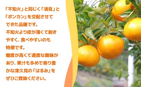 【先行予約】津久見のみかん はるみ 5kg ミカン 蜜柑 オレンジ 果実 旬のフルーツ 大分県産 九州産 津久見市 国産【tsu002901】