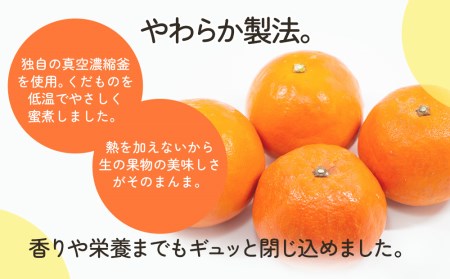 サンクイーンドライフルーツ(24g)×20袋 | 津久見市