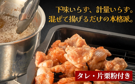 唐揚げ 500g×3袋(合計1.5kg) | 津久見市