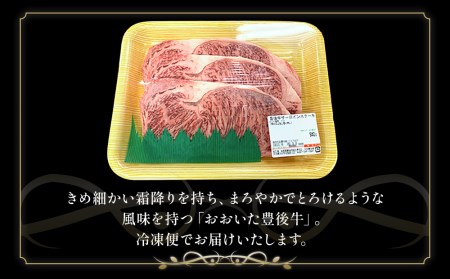 おおいた豊後牛 サーロインステーキ 180g×3枚(合計540g) 和牛 豊後牛 国産牛 赤身肉 焼き肉 焼肉 ステーキ肉 大分県産 九州産 津久見市 国産【tsu0001017】