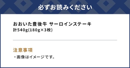 おおいた豊後牛 サーロインステーキ 180g×3枚(合計540g) 和牛 豊後牛 国産牛 赤身肉 焼き肉 焼肉 ステーキ肉 大分県産 九州産 津久見市 国産【tsu0001017】