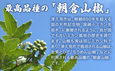 数量限定！朝倉山椒 500g×1箱 生山椒 | 津久見市
