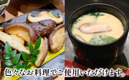 最高級 大分県産 花どんこ椎茸 260g | 津久見市