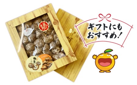 最高級 大分県産 花どんこ椎茸 260g | 津久見市