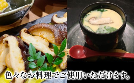 乾燥椎茸 国産 訳あり 小粒どんこ 50g×10パック | 津久見市