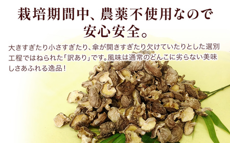 乾燥椎茸 訳あり 椎茸100g×5パック 干し椎茸 しいたけ 乾燥しいたけ