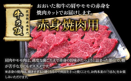 おおいた和牛 特選焼肉セット 600g(赤身焼肉300g  カルビ300g)牛肉 和牛 ブランド牛 赤身肉 カルビ 焼き肉 焼肉 バーベキュー 大分県産 九州産 津久見市 国産