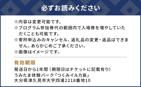 イルカと泳ごう！シングル（イルカとふれあい体験チケット）体験チケット レジャーチケット アクティビティ 動物ふれあい 大分県産 九州産 津久見市 国産