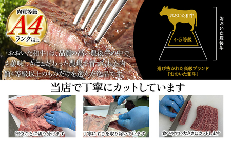 【訳あり】おおいた和牛 お試し食べ比べ 焼肉5種セット(合計350g) | 津久見市