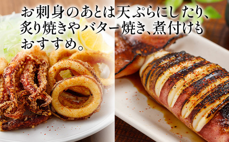 獲れたて モイカ 2kg(2?4杯) | 津久見市