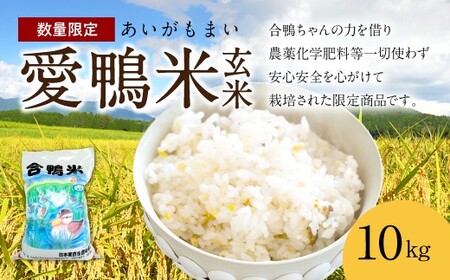 愛鴨米 玄米 10kg うるち玄米
