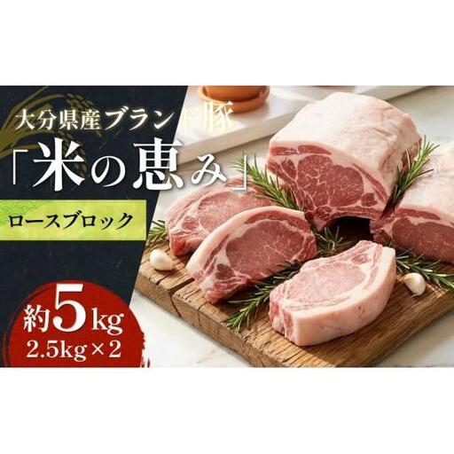 大分県産ブランド豚 奥豊後豚（米の恵み） ロースブロック 5kg (2.5kg×2) 豚ロース 豚肉