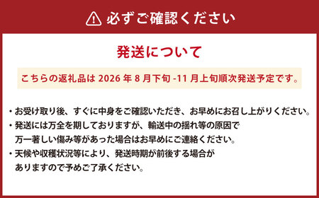 【数量限定】粒パック 訳あり シャインマスカット（約500g）&ナガノパープル（約500g） 計約1kg （各1パック）【2026年8月下旬-11月上旬発送開始予定】