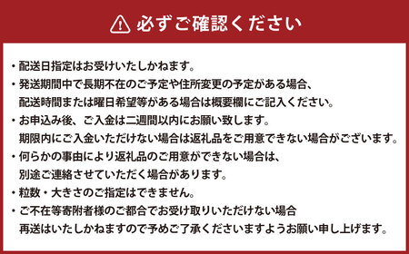 【数量限定】粒パック 訳あり シャインマスカット（約500g）&ナガノパープル（約500g） 計約1kg （各1パック）【2026年8月下旬-11月上旬発送開始予定】