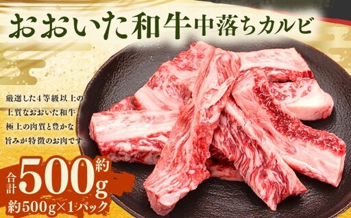 おおいた和牛 中落ちカルビ 約500g