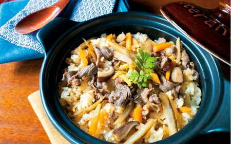 豊後牛メシ 150g (2合用) ×6袋 (計900g) FBM20