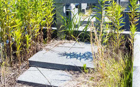 心を込めたお墓掃除代行サービス「ノーマルプラン」（1回分）