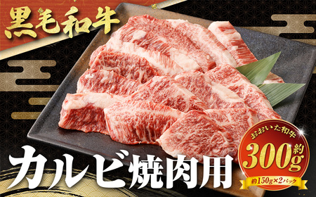 【黒毛和牛】 おおいた和牛／カルビ焼肉用 約300g（約150g×2）