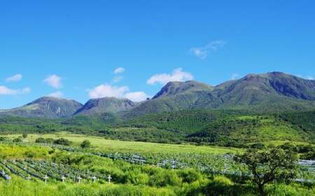 久住ロゼ CatWalk 720ml 1本 ロゼワイン