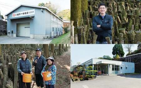 椎茸メシ 2合用 (180g)× 5袋 (計10合(900g)分) FS12