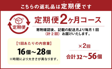 【2ヶ月定期便】 竹田市産 高原トマト 16個～28個 【2026年5月下旬-2027年1月上旬発送予定】