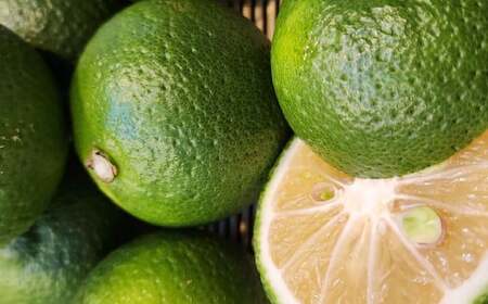 ノンアルコール 酔わないかぼすハイボール 340ml×48本(2ケース) JAフーズおおいた